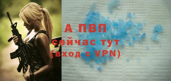spice Медвежьегорск