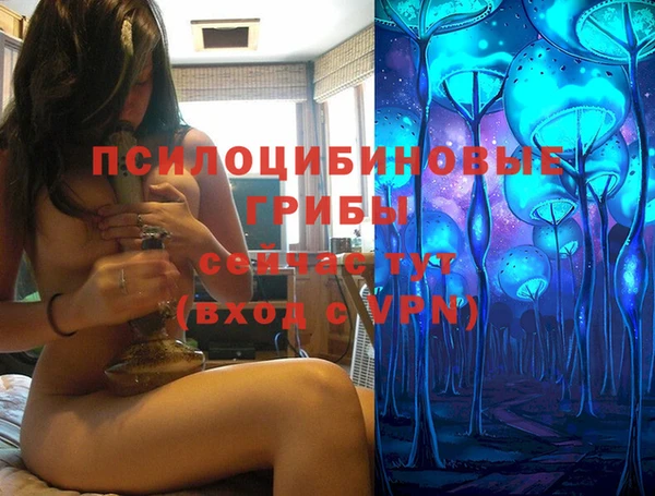 spice Медвежьегорск