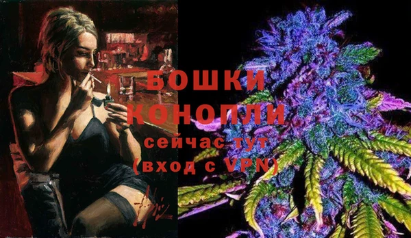 spice Медвежьегорск