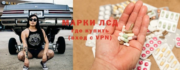 spice Медвежьегорск