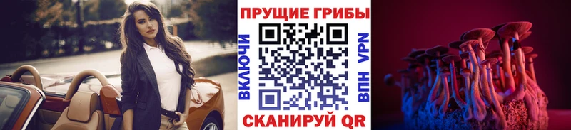 купить  цена  Тында  Галлюциногенные грибы прущие грибы 