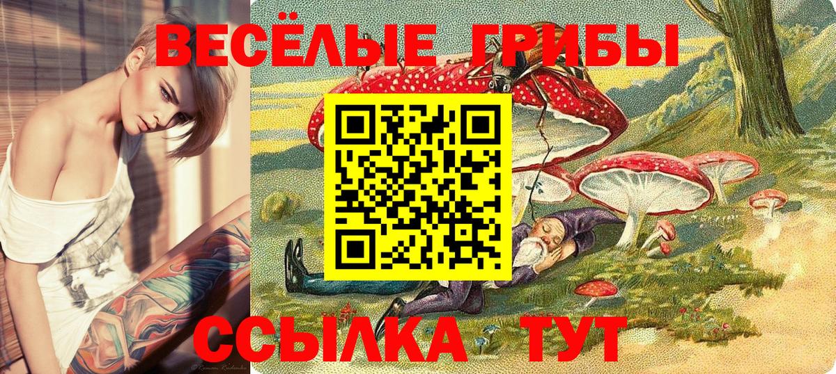 Галлюциногенные грибы прущие грибы Тында