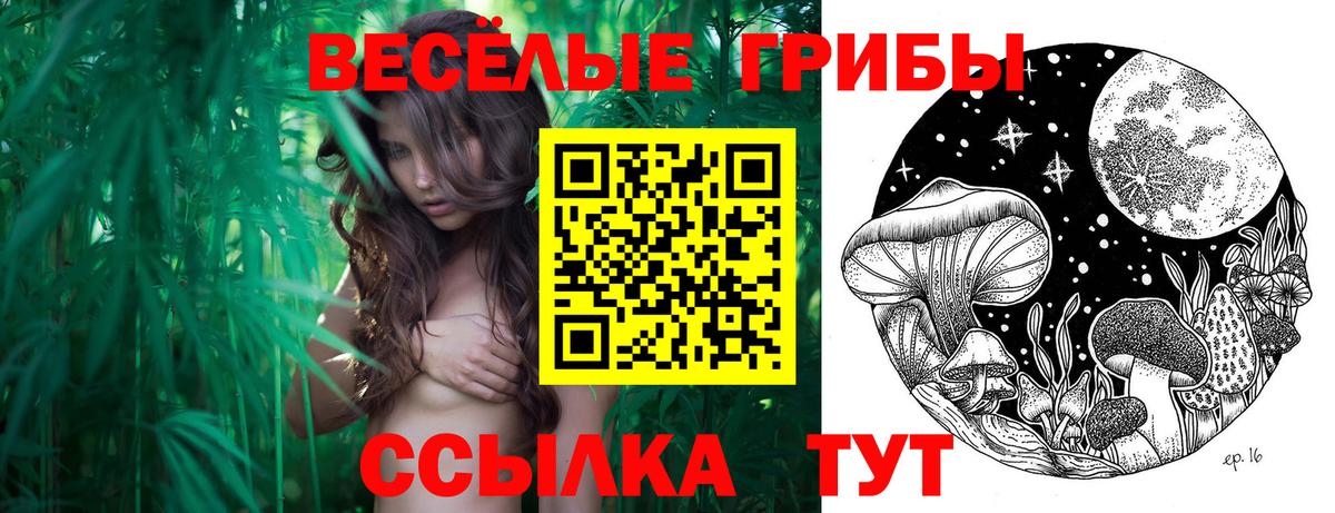 Тында  Галлюциногенные грибы мухоморы  Вход с VPN 